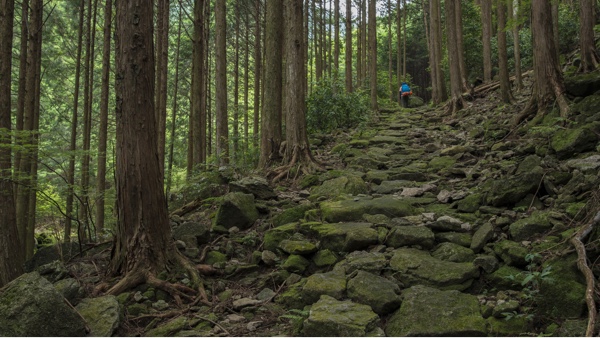 Kumano Kodo