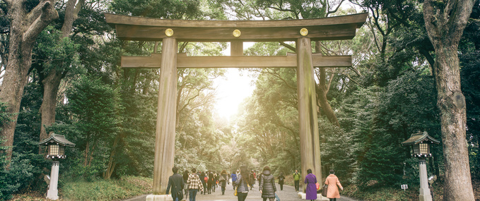 Tokyo’s Yoyogi Park: The Green Getaway in the Metropolis