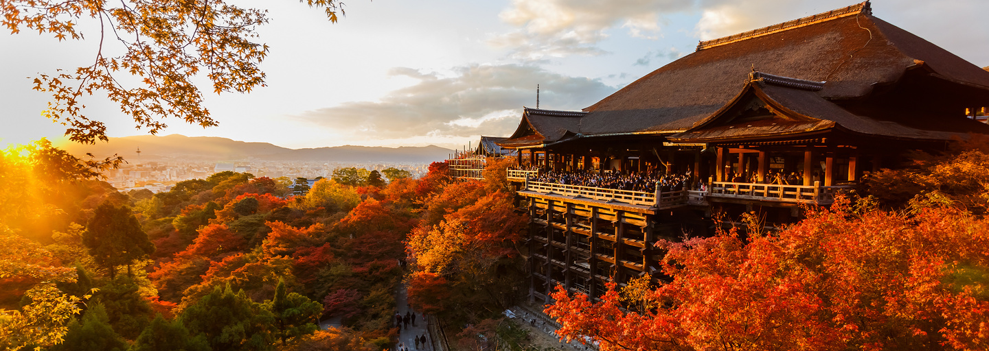 Kyoto destination guide