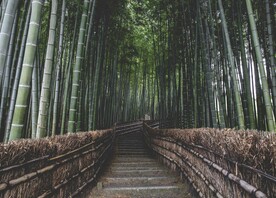 Milieuvriendelijk reizen in Japan